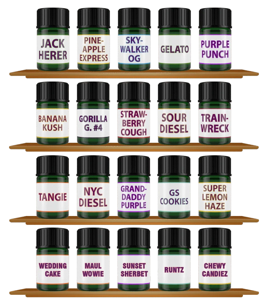 Shop Sample Packs