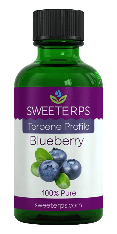 blueberry terpenes