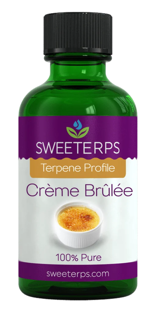 Crème Brûlée Terpenes - Decadent Delight