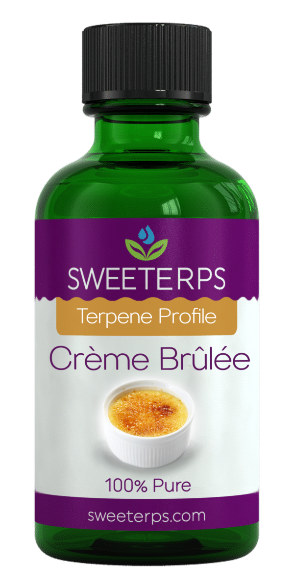 Crème Brûlée Terpenes - Decadent Delight