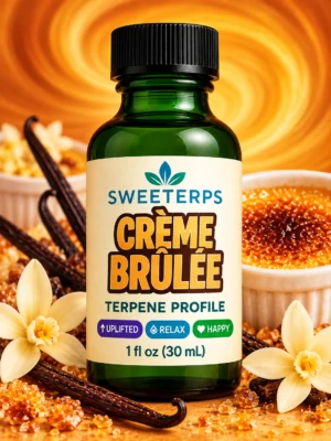 Crème Brûlée Terpenes - Decadent Delight
